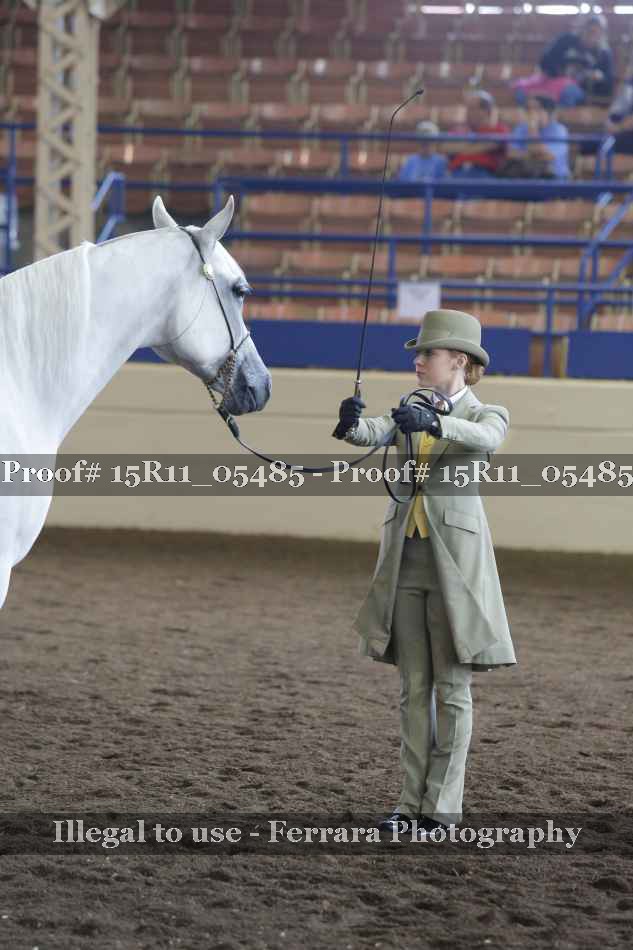 Proof Number 15R11_05485