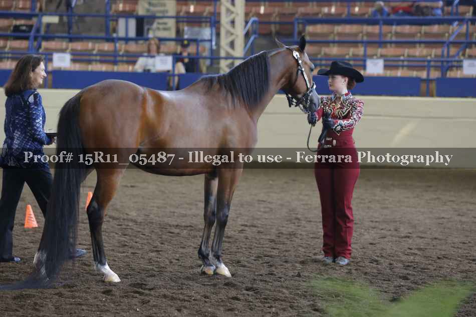 Proof Number 15R11_05487