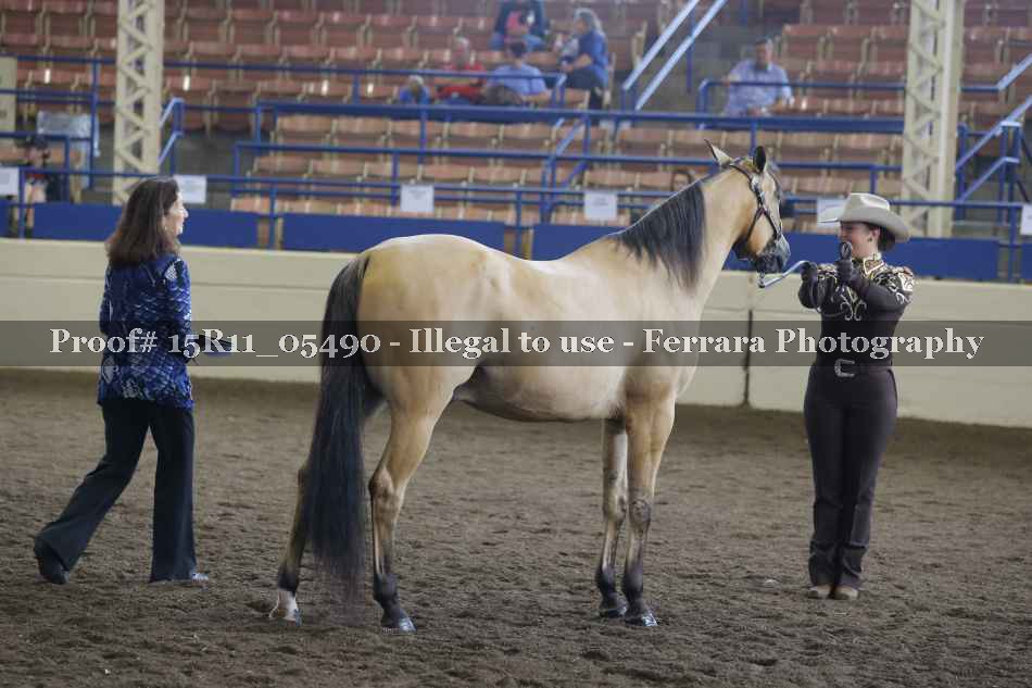 Proof Number 15R11_05490