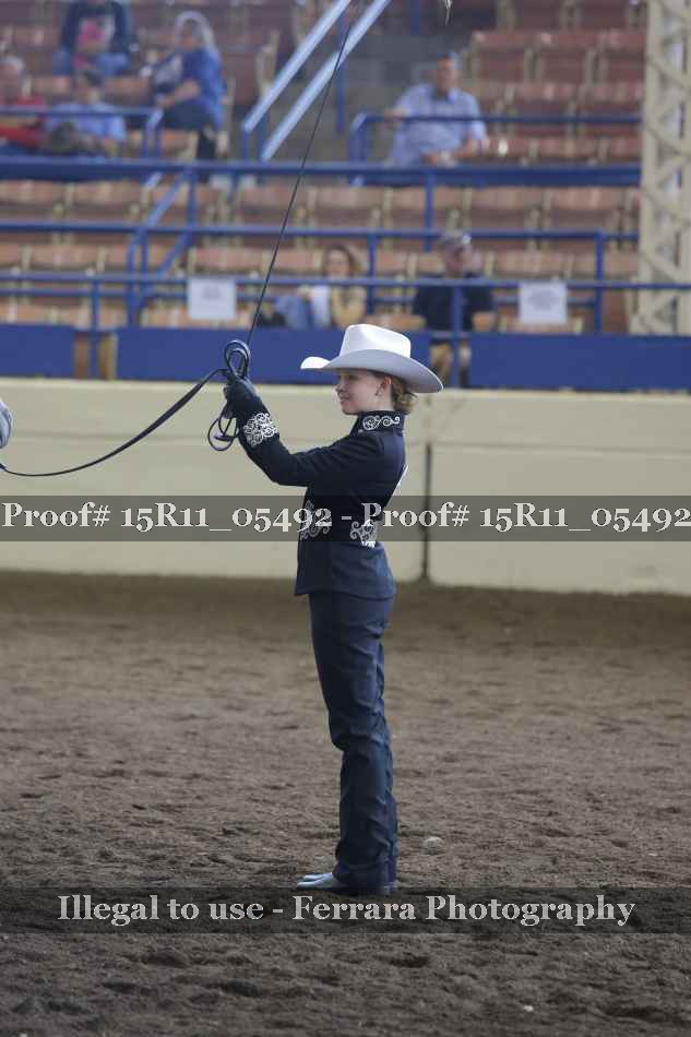 Proof Number 15R11_05492