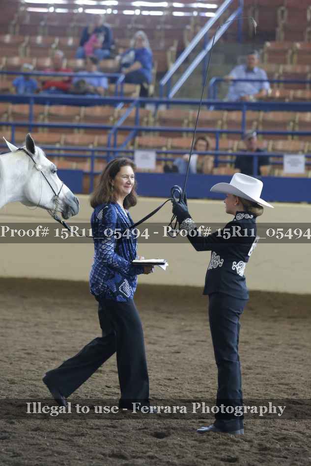 Proof Number 15R11_05494