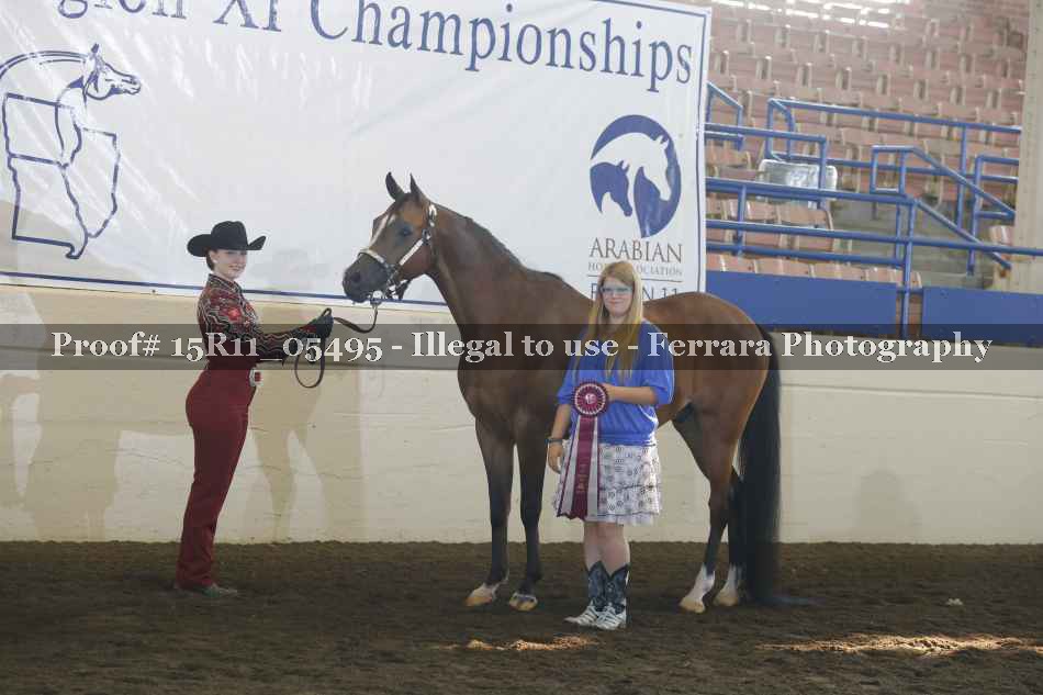 Proof Number 15R11_05495
