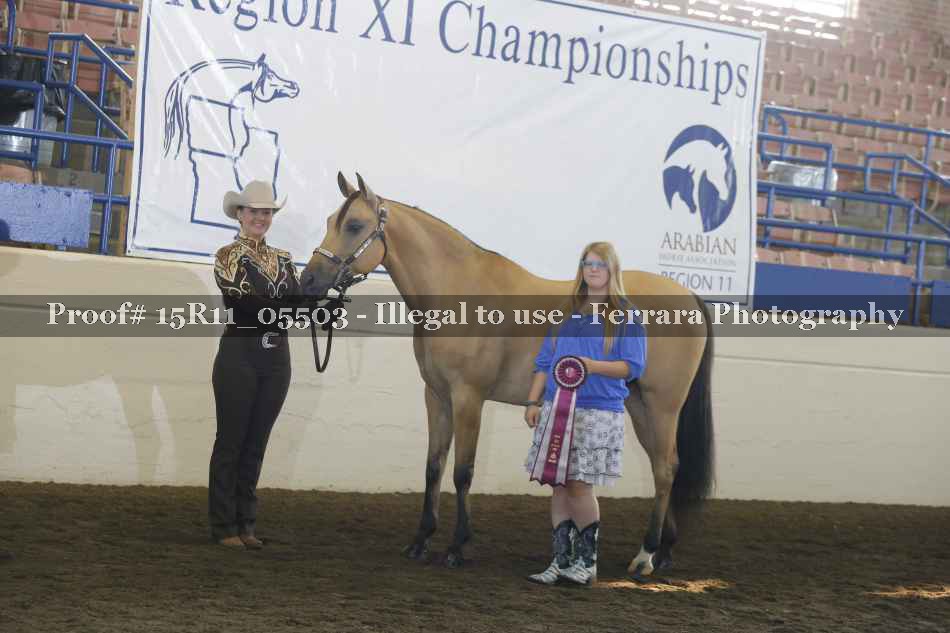 Proof Number 15R11_05503