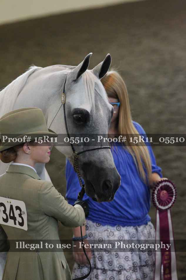 Proof Number 15R11_05510