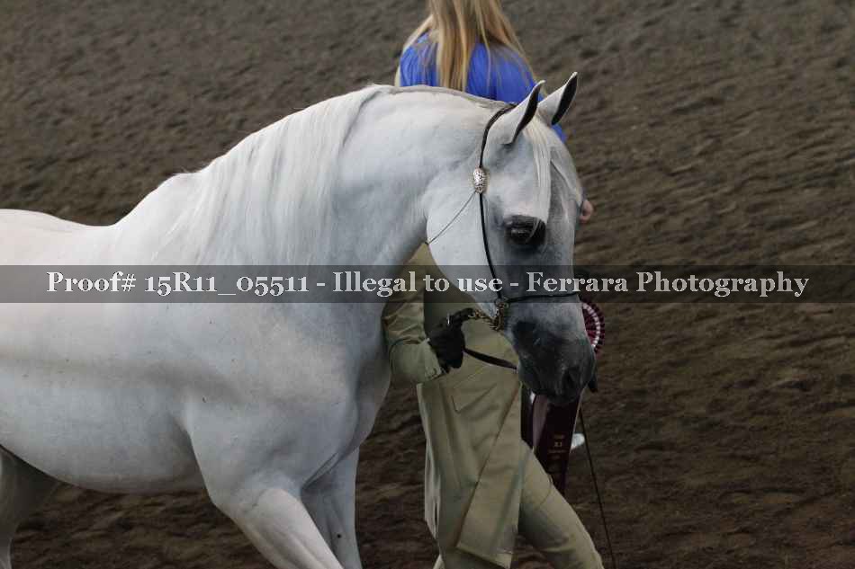 Proof Number 15R11_05511