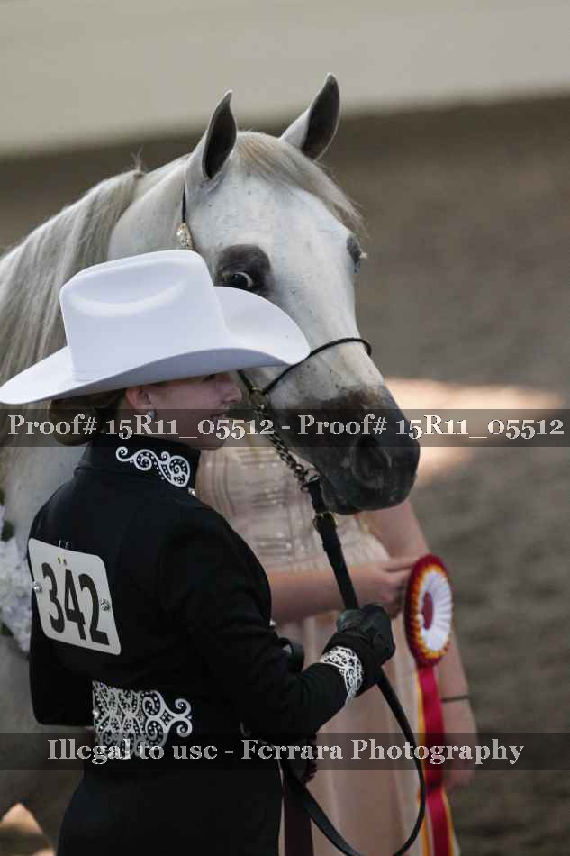 Proof Number 15R11_05512