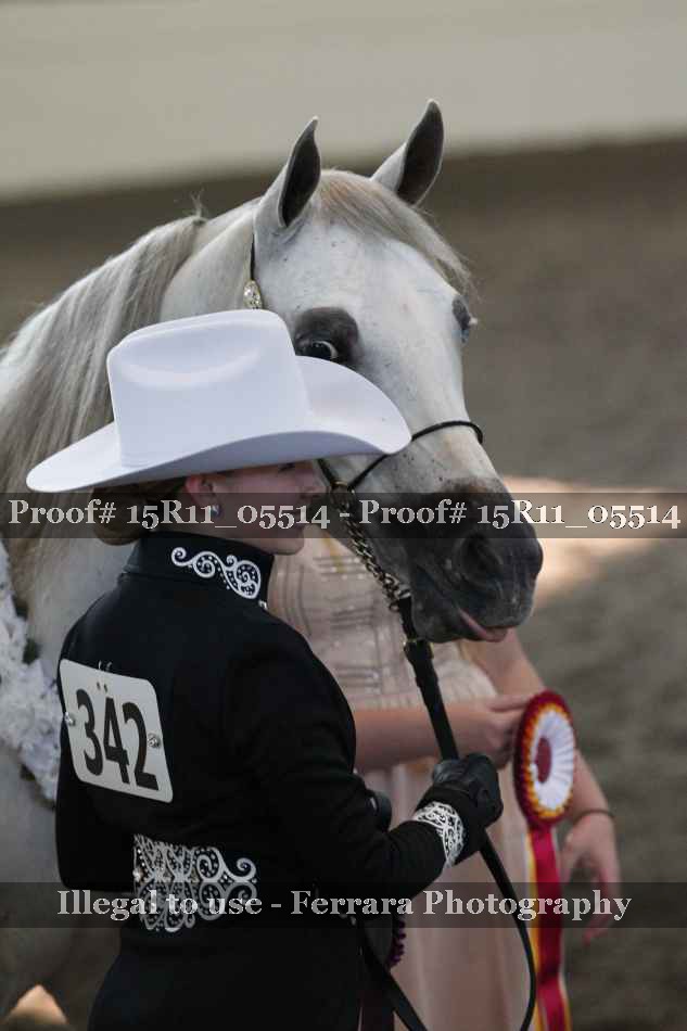Proof Number 15R11_05514