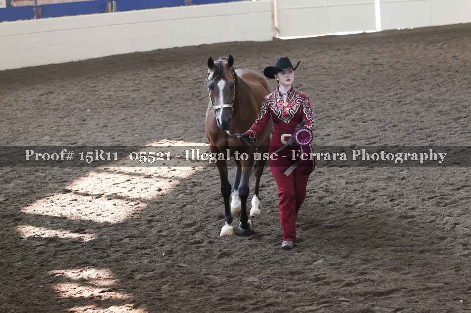Proof Number 15R11_05521