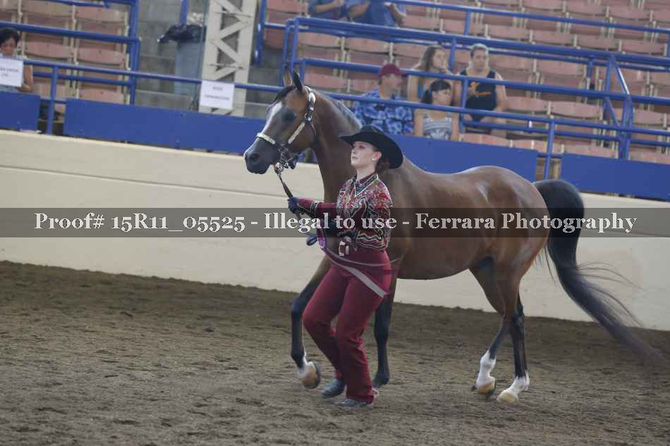 Proof Number 15R11_05525