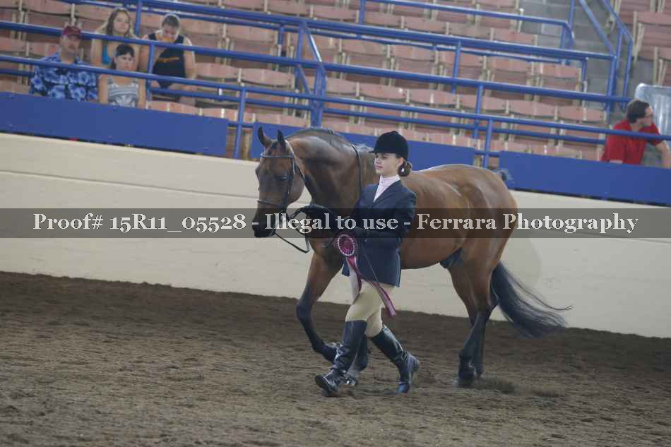 Proof Number 15R11_05528