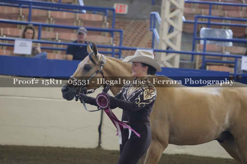Proof Number 15R11_05531