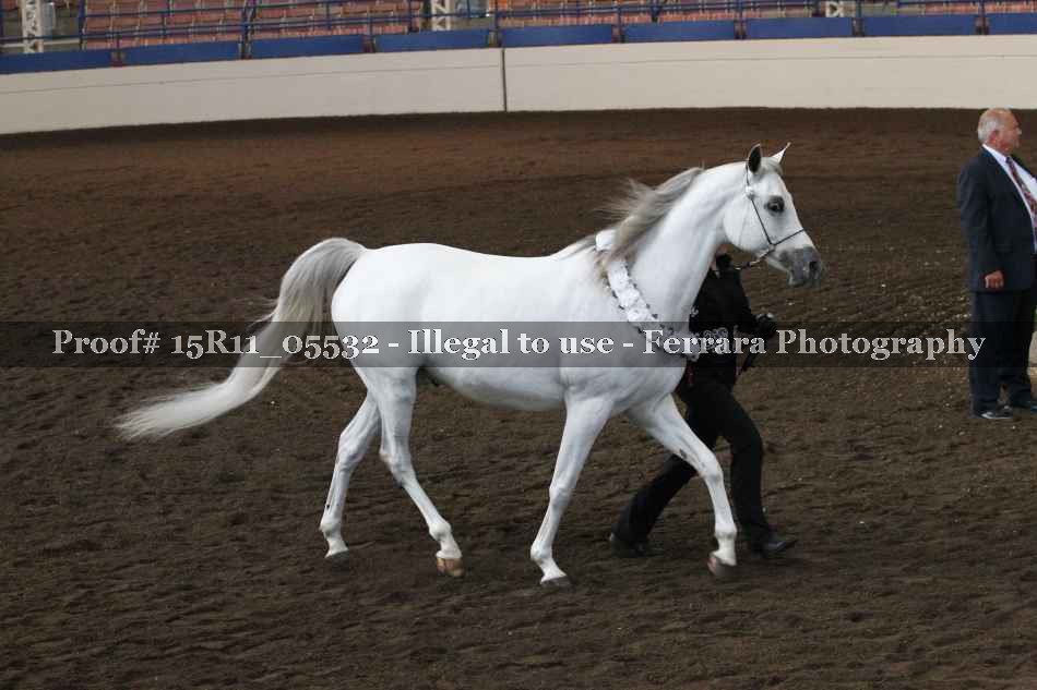 Proof Number 15R11_05532