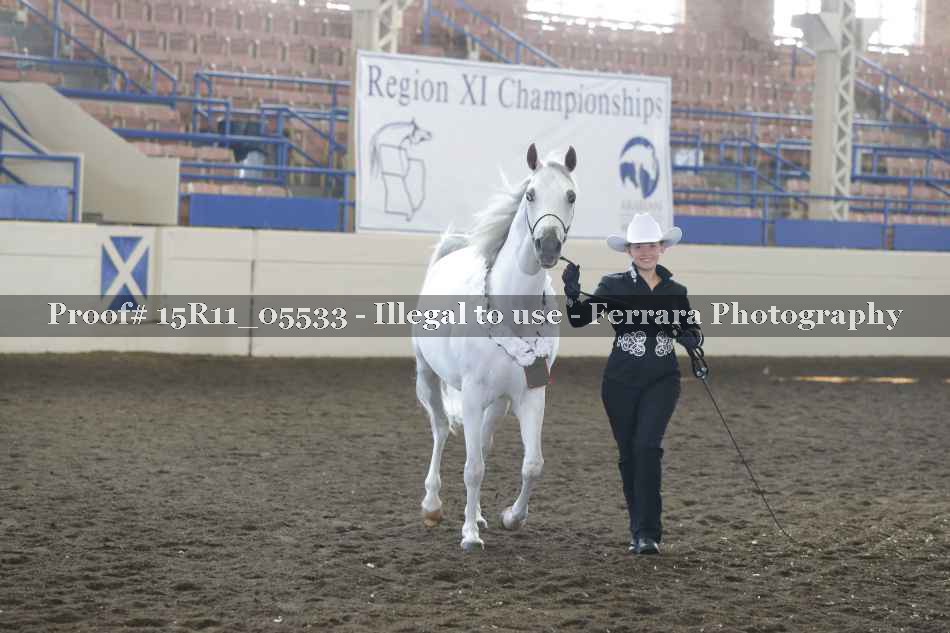 Proof Number 15R11_05533