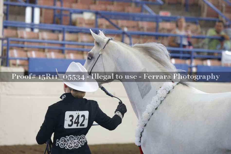 Proof Number 15R11_05534