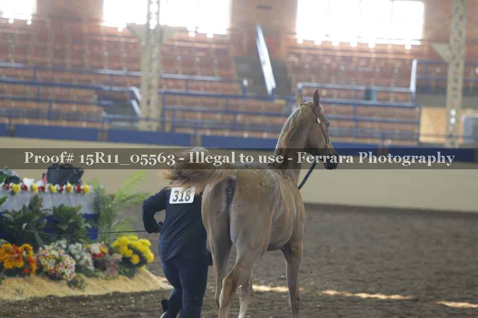 Proof Number 15R11_05563