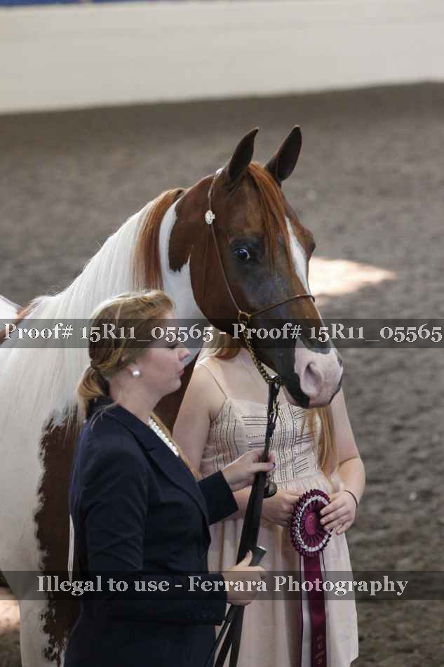 Proof Number 15R11_05565