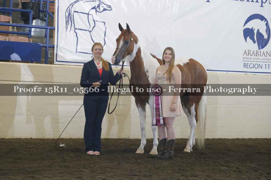 Proof Number 15R11_05566