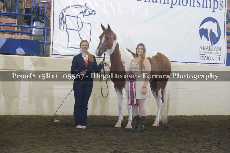 Proof Number 15R11_05567