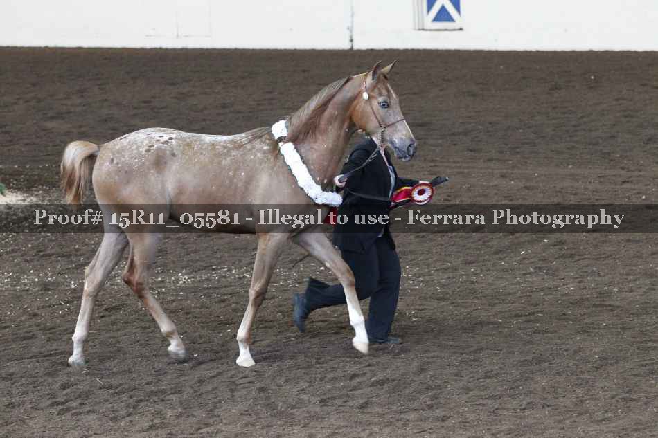 Proof Number 15R11_05581