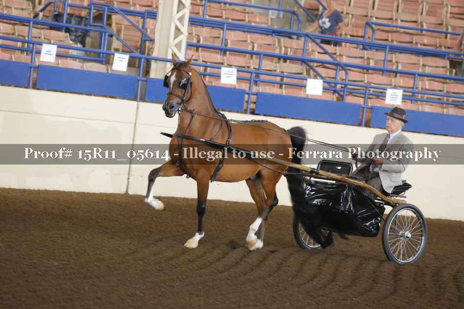 Proof Number 15R11_05614