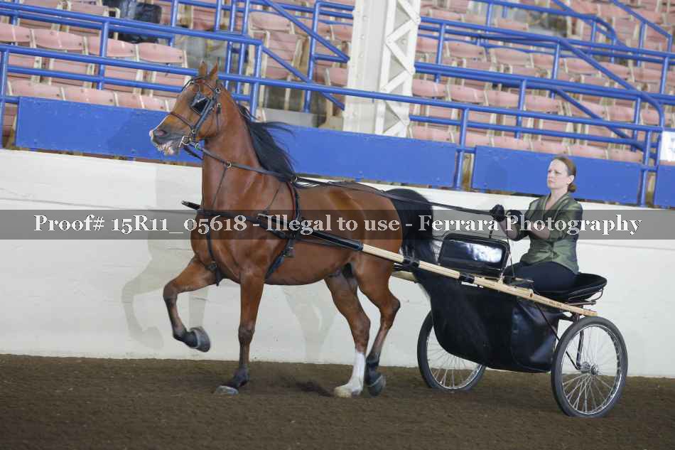 Proof Number 15R11_05618
