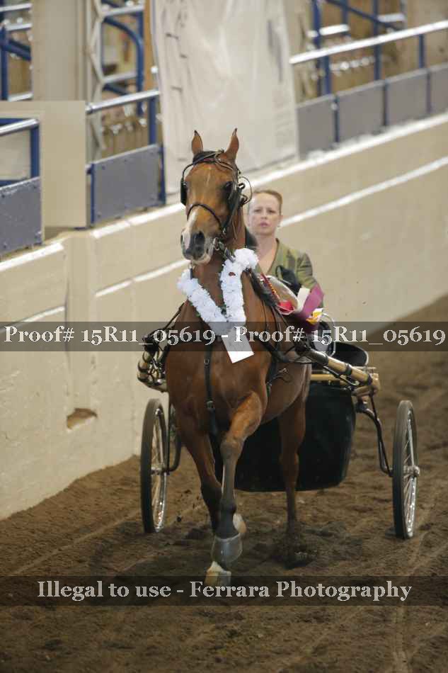 Proof Number 15R11_05619