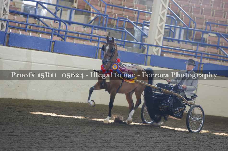 Proof Number 15R11_05624