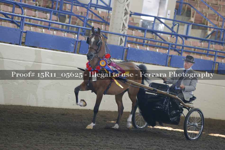 Proof Number 15R11_05625