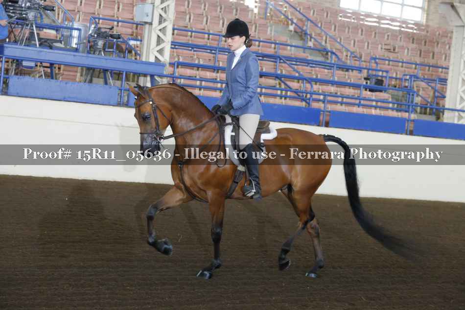 Proof Number 15R11_05636