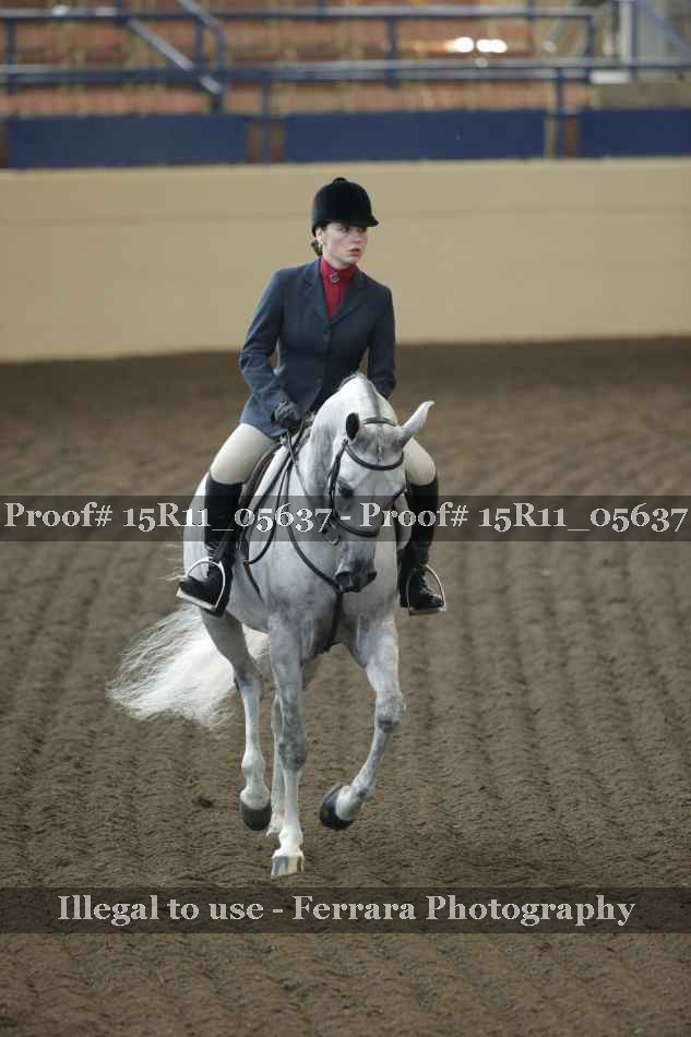 Proof Number 15R11_05637