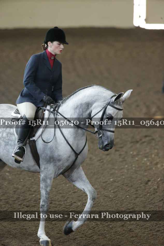 Proof Number 15R11_05640