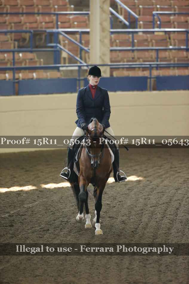 Proof Number 15R11_05643