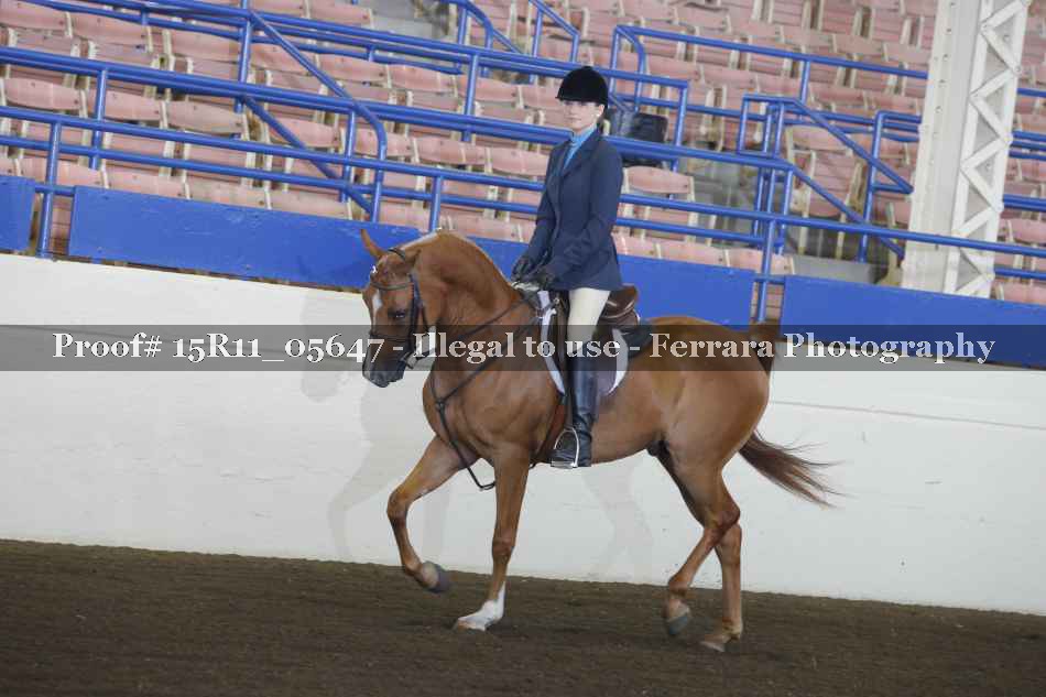 Proof Number 15R11_05647