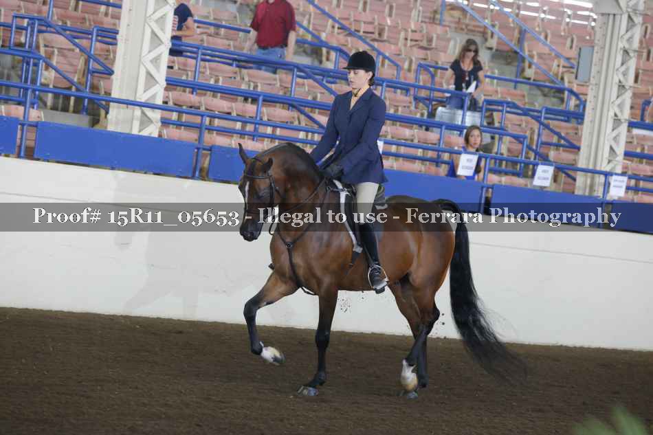 Proof Number 15R11_05653