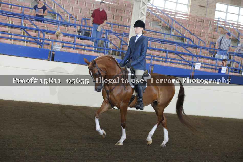 Proof Number 15R11_05655