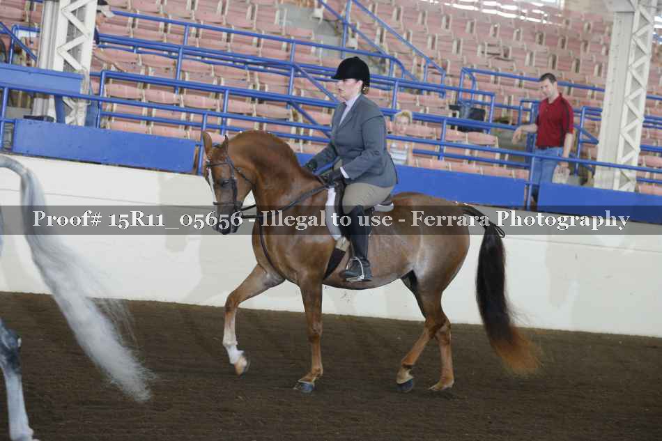 Proof Number 15R11_05656