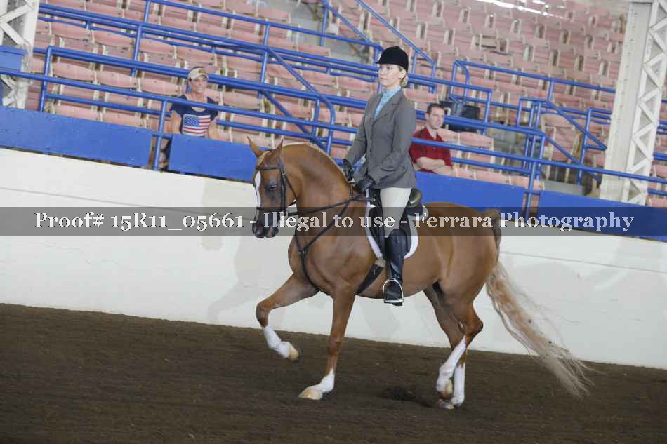 Proof Number 15R11_05661