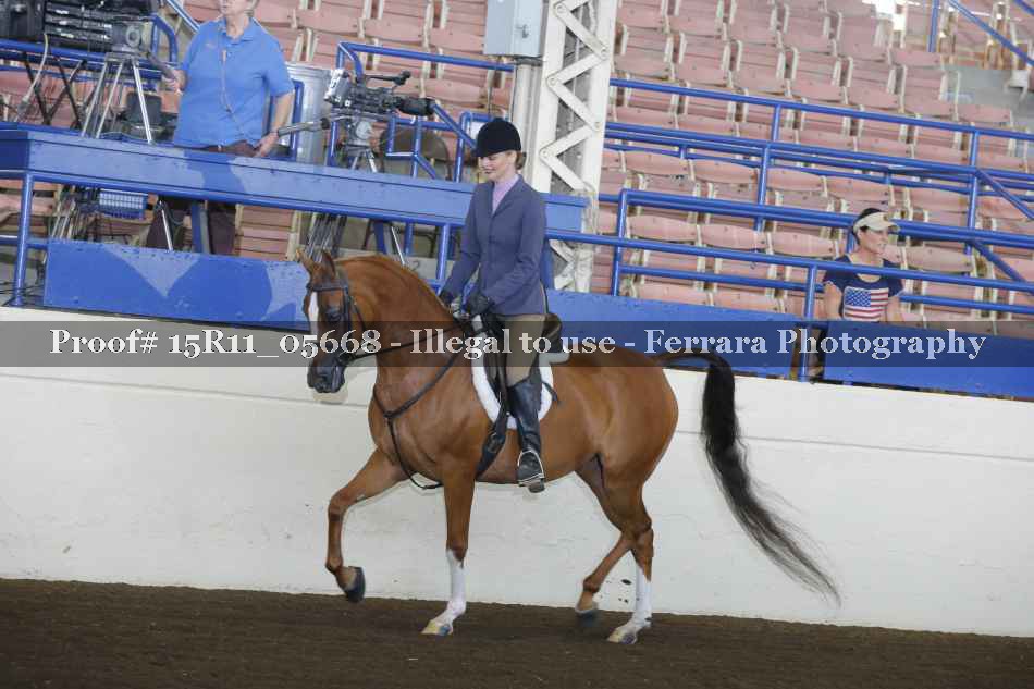 Proof Number 15R11_05668