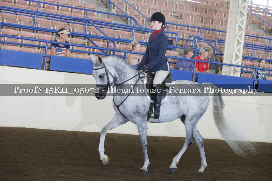 Proof Number 15R11_05672