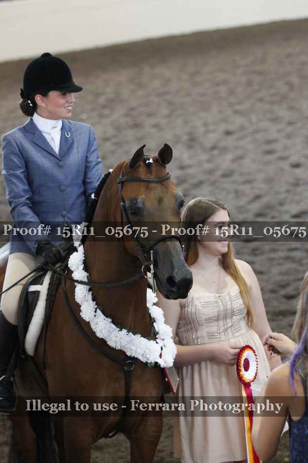 Proof Number 15R11_05675