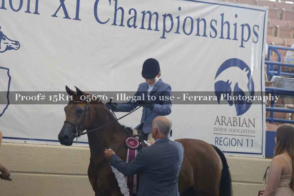 Proof Number 15R11_05676