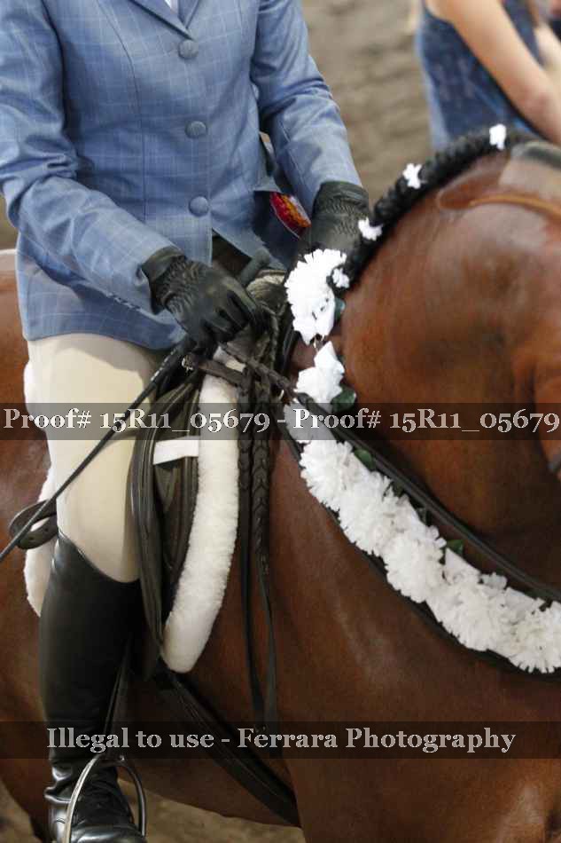 Proof Number 15R11_05679