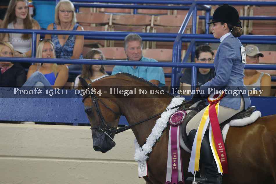 Proof Number 15R11_05684