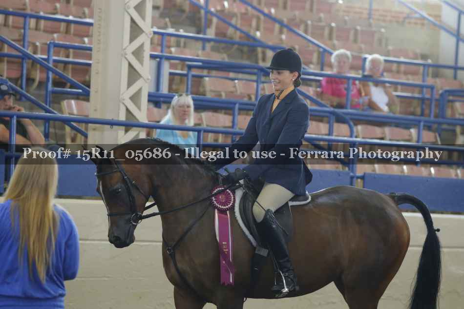 Proof Number 15R11_05686