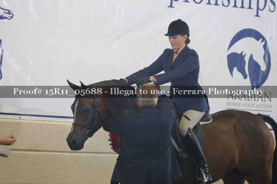 Proof Number 15R11_05688