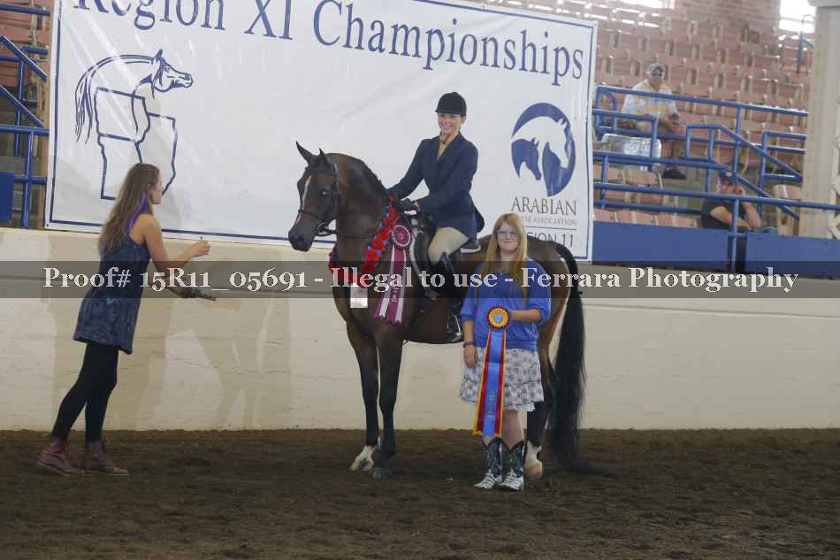 Proof Number 15R11_05691