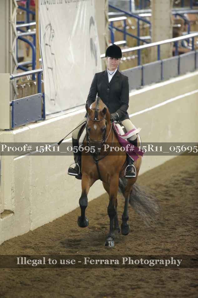 Proof Number 15R11_05695
