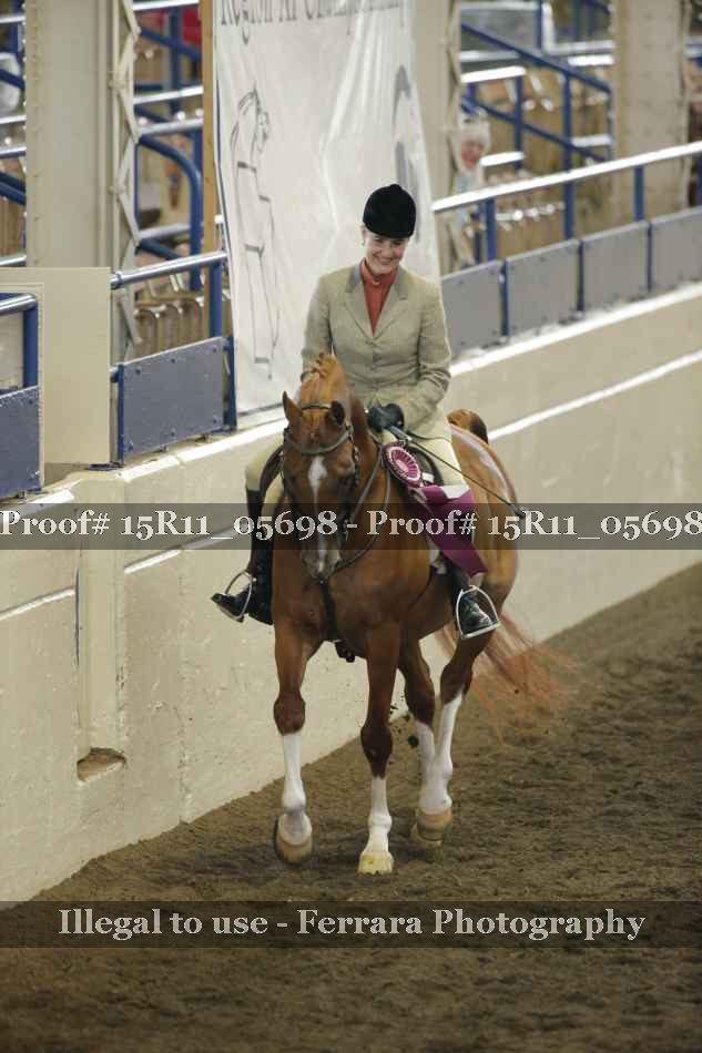 Proof Number 15R11_05698