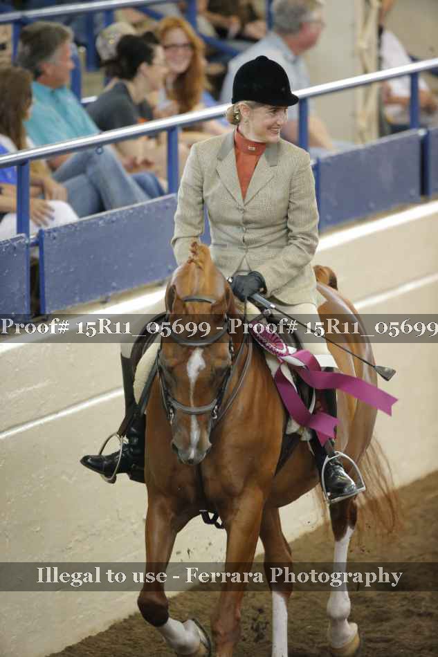 Proof Number 15R11_05699