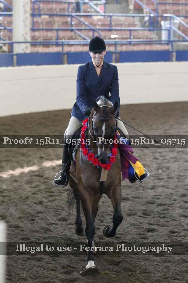 Proof Number 15R11_05715